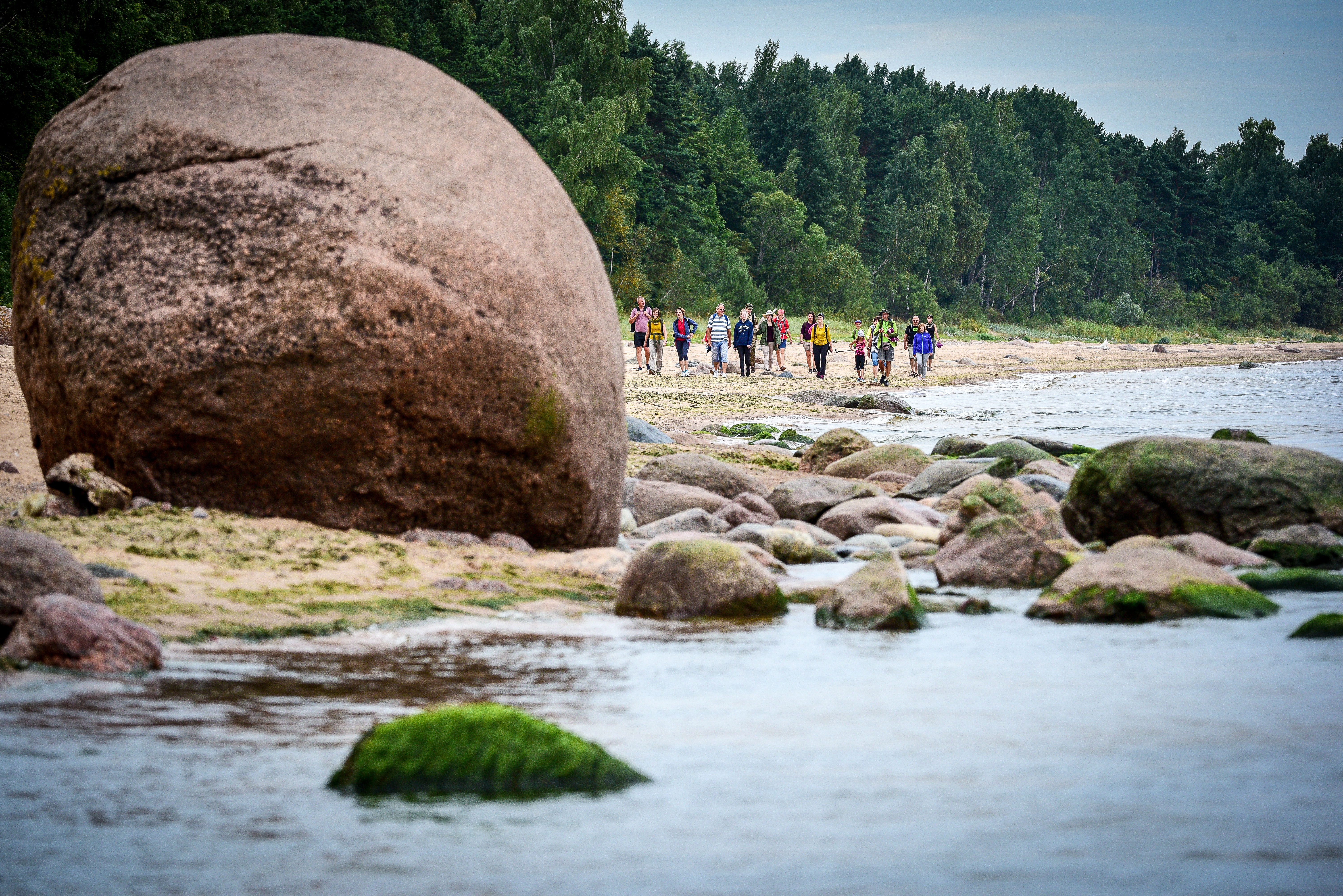 Ranniku Matkarada kulgeb Eestis 622 km ning Lätis 581 km. Kodulehelt leiab jõukohase pikkusega matkamarsruudi igaüks: coastalhiking.eu 