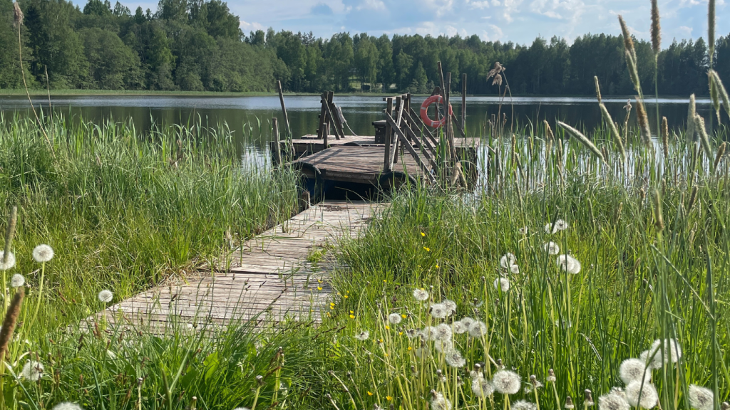 Summer Holidays
