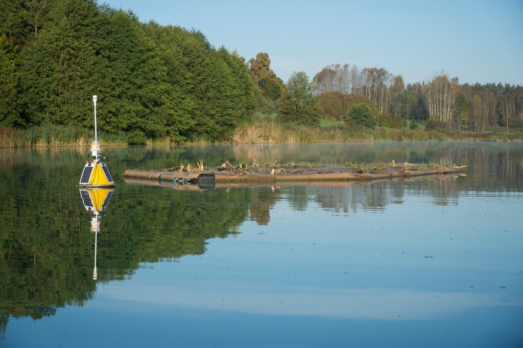 Põmujärv, Estonia - floating island (October 2025)